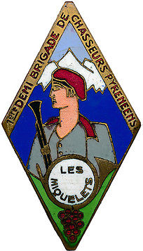 Insigne la 1° Demi Brigade de Chasseurs Pyrénéens