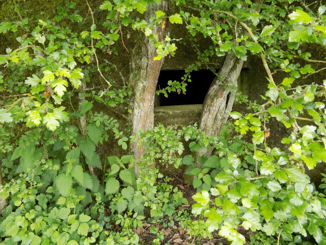 Ligne Maginot - FOND DE LA CHAUSSEE OUEST - (Blockhaus pour canon) - Face frontale