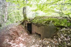 Ligne Maginot - GLASBRONN 2 - (Blockhaus pour arme infanterie) - 