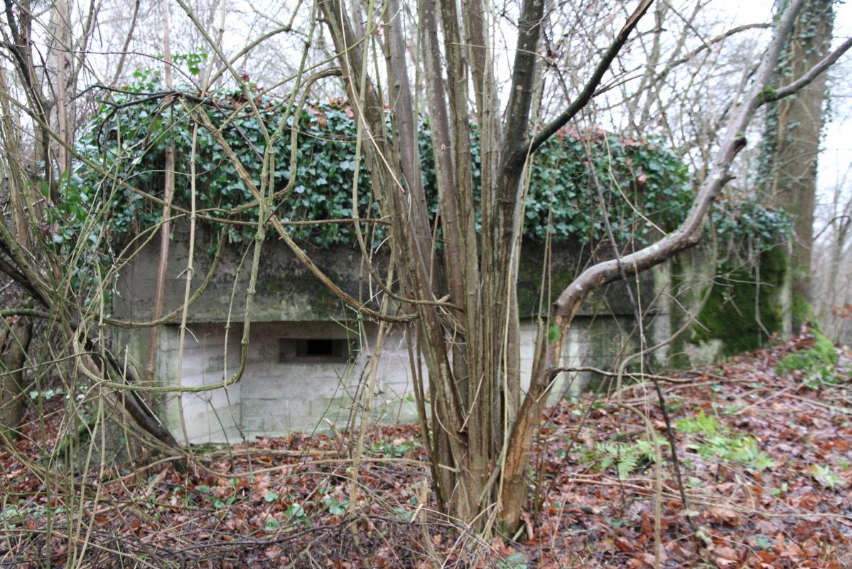 Ligne Maginot - AUKOPF NORD - (Blockhaus pour arme infanterie) - 