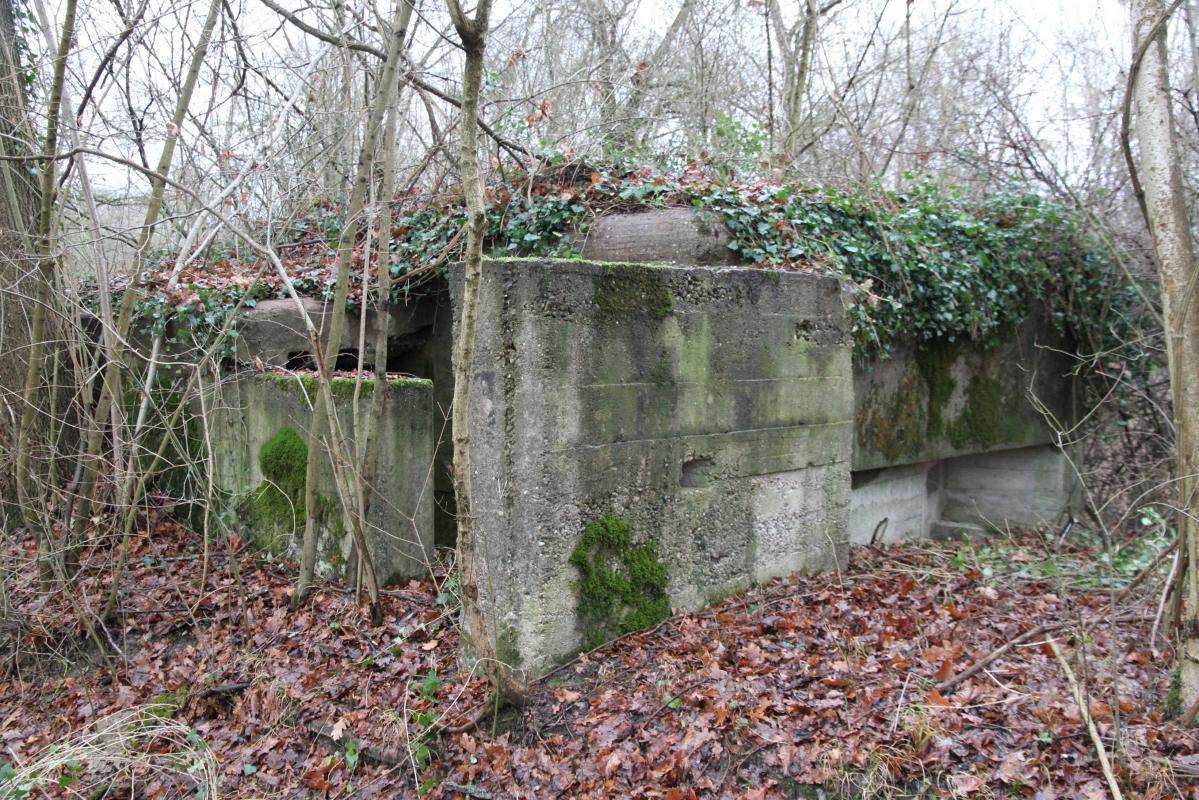 Ligne Maginot - AUKOPF NORD - (Blockhaus pour arme infanterie) - 