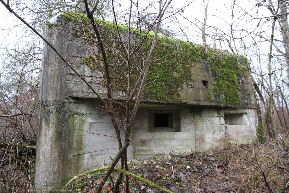 Ligne Maginot - DIGUE DE FRIESENHEIM 4 - (Blockhaus pour arme infanterie) - 