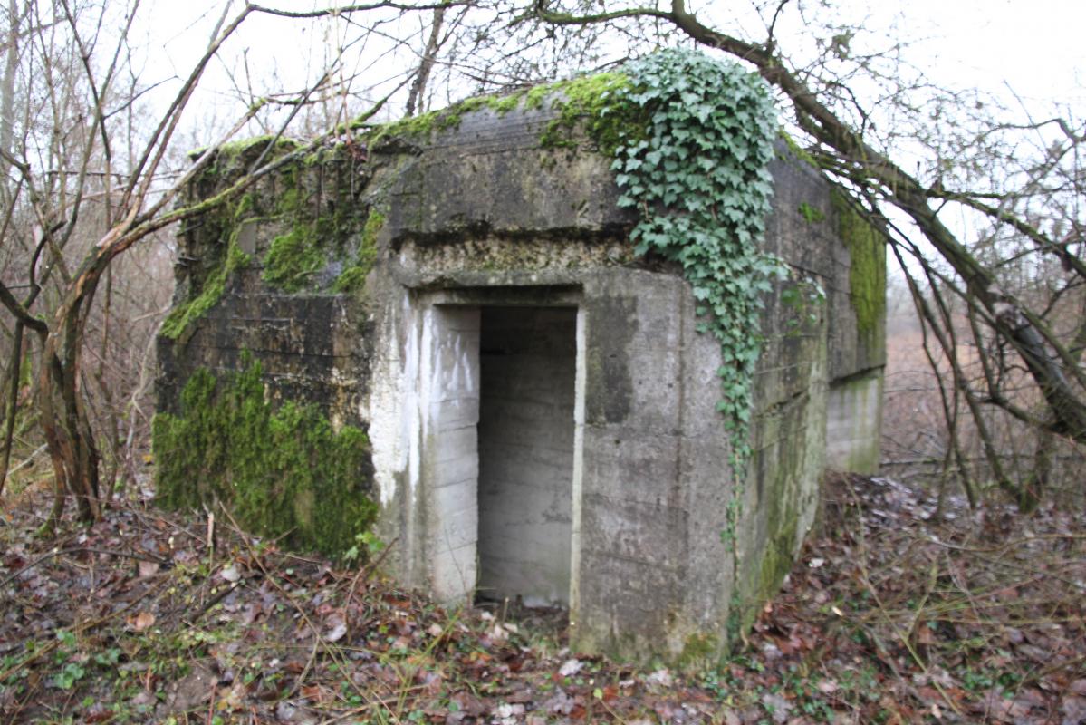 Ligne Maginot - DIGUE DE FRIESENHEIM 4 - (Blockhaus pour arme infanterie) - 