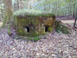 Ligne Maginot - FM26 - VOEGELSMATT 4 - (Blockhaus pour arme infanterie) - 