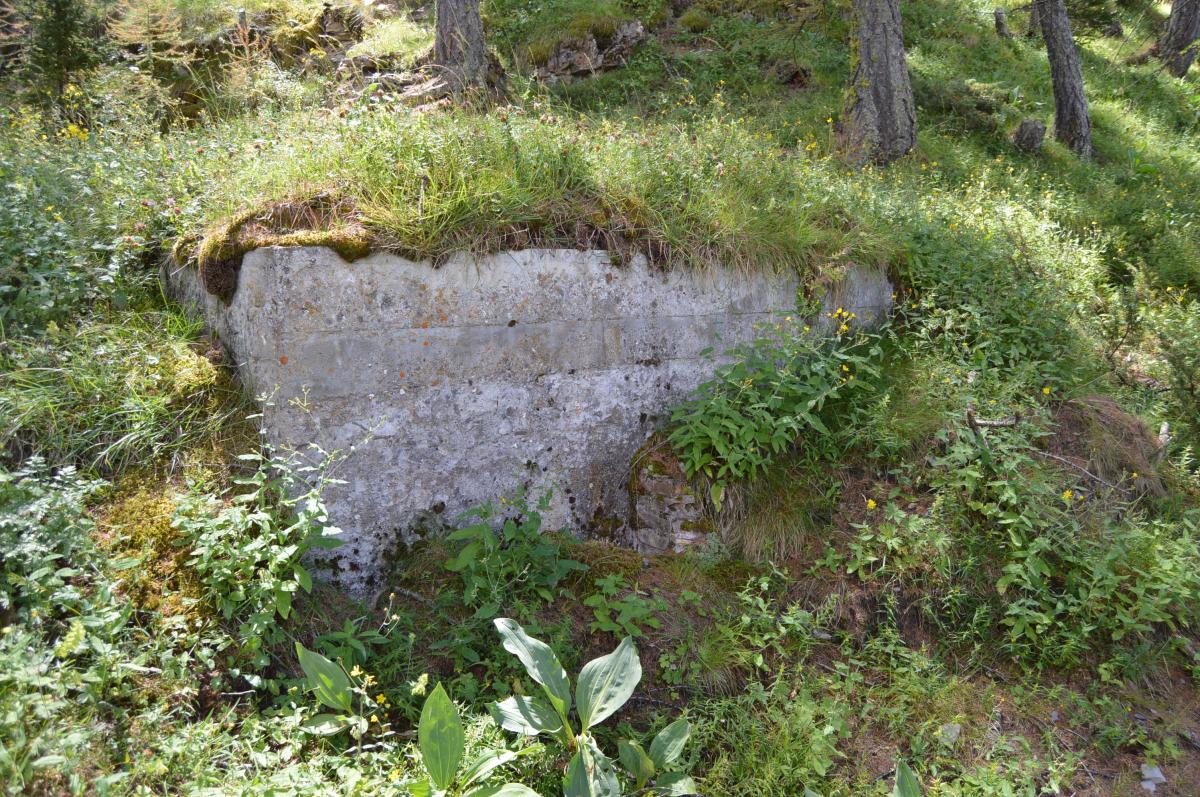 Ligne Maginot - ANCIEN CAMP - (Abri) - Cheminée nord