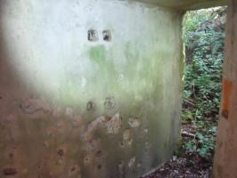 Ligne Maginot - WASENBERG 4 (Blockhaus pour arme infanterie) - 