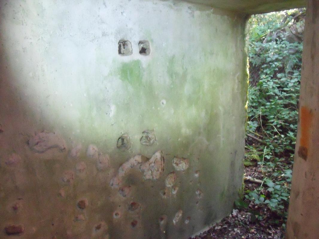 Ligne Maginot - WASENBERG 4 (Blockhaus pour arme infanterie) - 