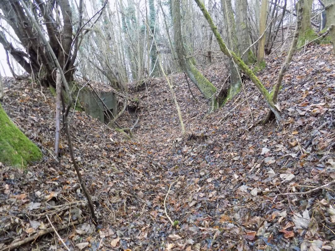 Ligne Maginot - 8BIS - LES LONGS BOYAUX EST - (Blockhaus pour canon) - Tranchée vers l'entrée