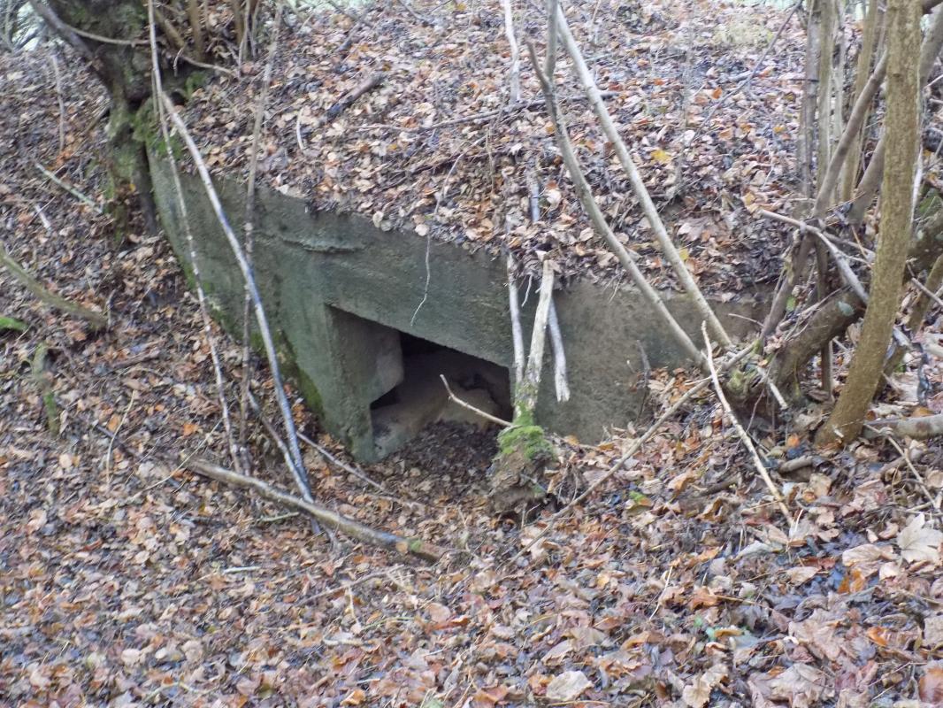 Ligne Maginot - 8BIS - LES LONGS BOYAUX EST - (Blockhaus pour canon) - L'entrée AC