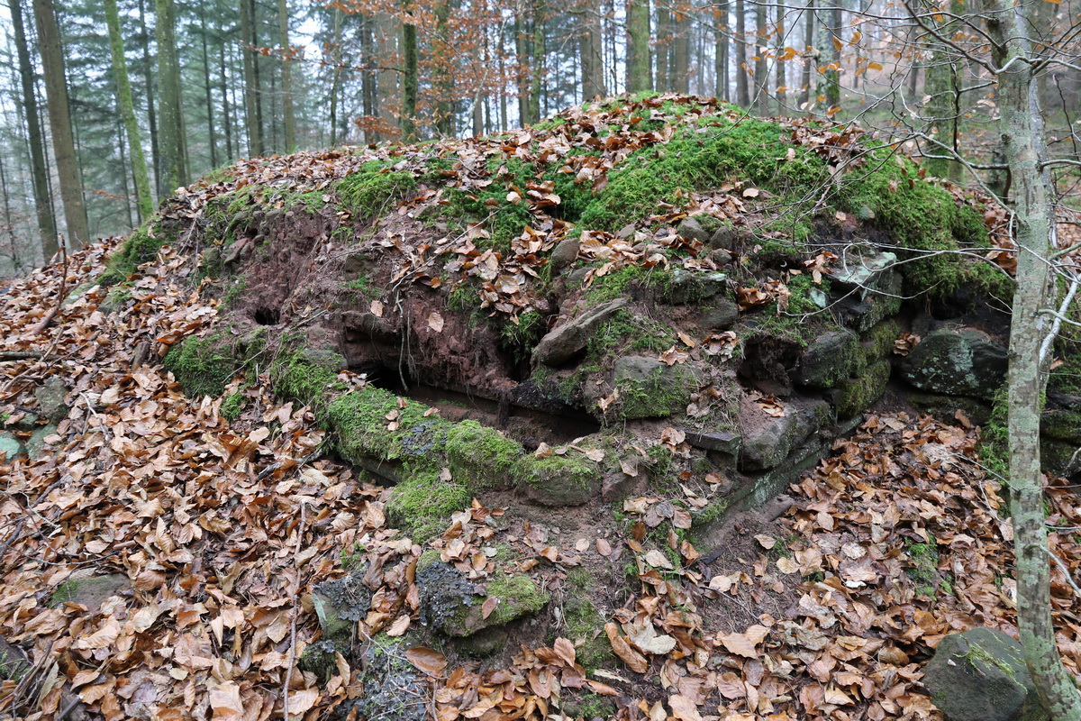 Ligne Maginot - Blockhaus BIESENBERG MF - 