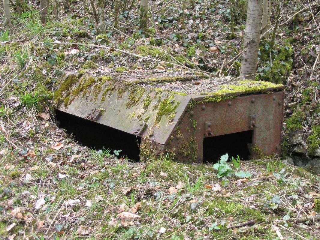 Ligne Maginot - Observatoires du BICHEL - 