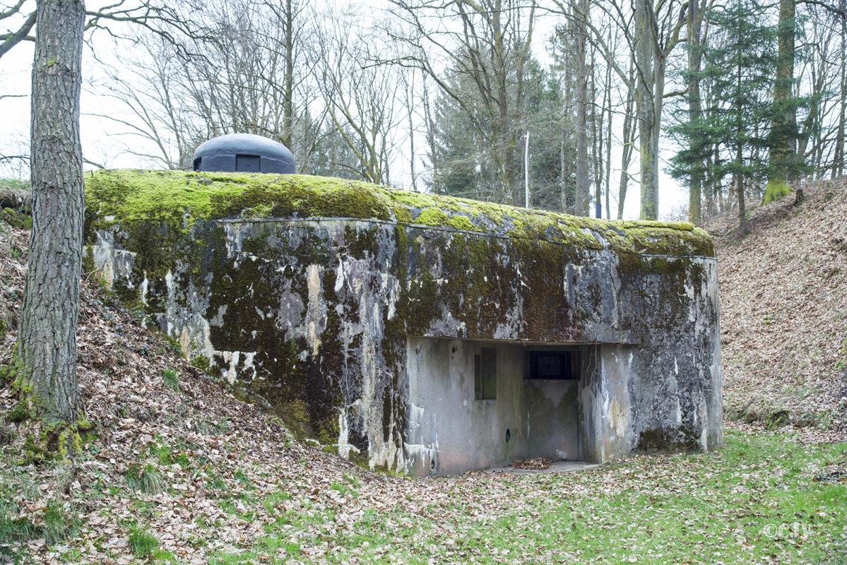 Ligne Maginot - DAMBACH SUD - C56 - (Casemate d'infanterie - Double) - 