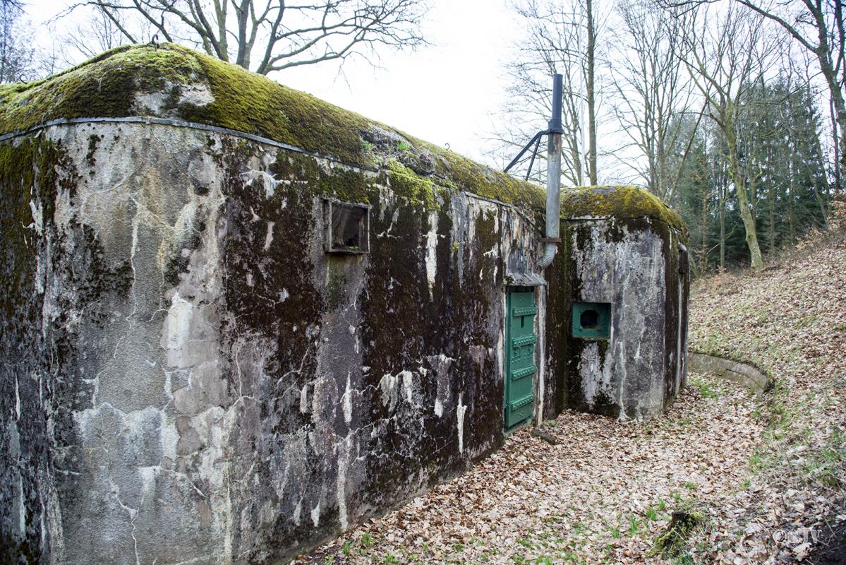 Ligne Maginot - DAMBACH SUD - C56 - (Casemate d'infanterie - Double) - 