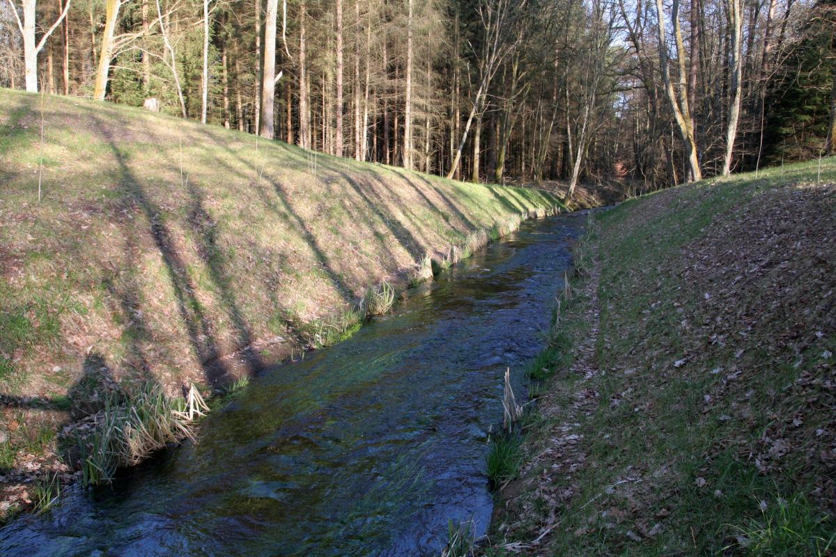 Ligne Maginot - GRAFENWEIHER Centre (Barrage 06) (Inondation défensive) - Etat après les travaux de 2014