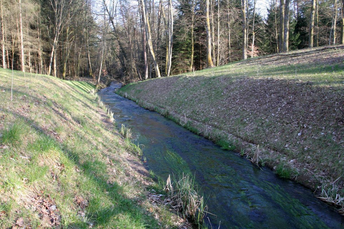 Ligne Maginot - GRAFENWEIHER Centre (Barrage 06) (Inondation défensive) - Etat après les travaux de 2014