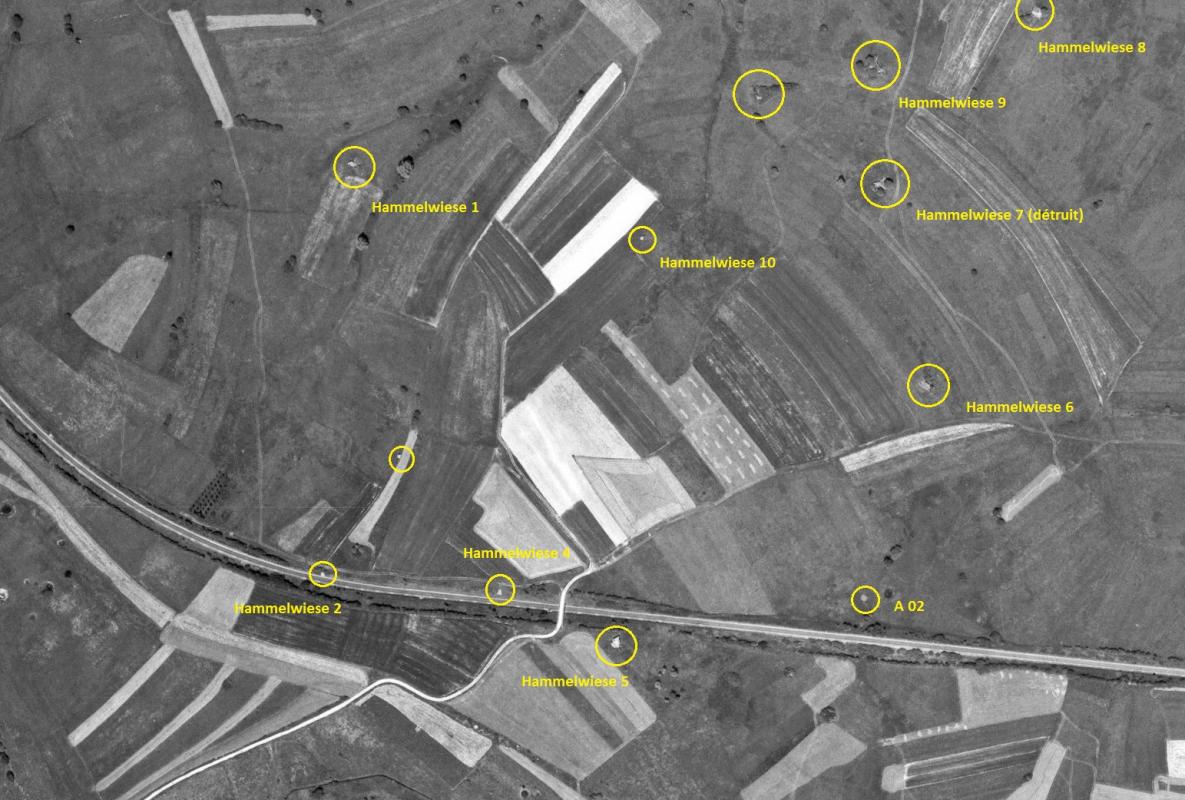 Ligne Maginot - Groupe des HAMMELSWIESE en 1967 - 