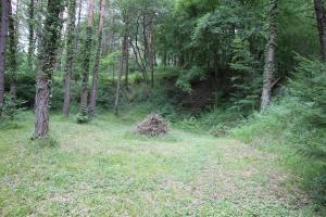 Ligne Maginot - INGWILLER - MOULIN VOLLACH (RFL) - Le site du PC