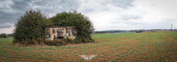 Ligne Maginot - REDOUTE DU BEL ARBRE - (Blockhaus de type indéterminé) - Panoramique