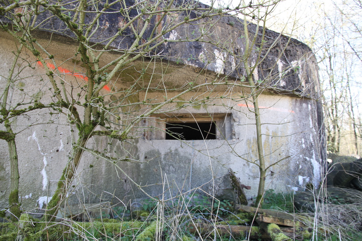 Ligne Maginot - Blockhaus B730 - FERME CLAVON - Créneau nord