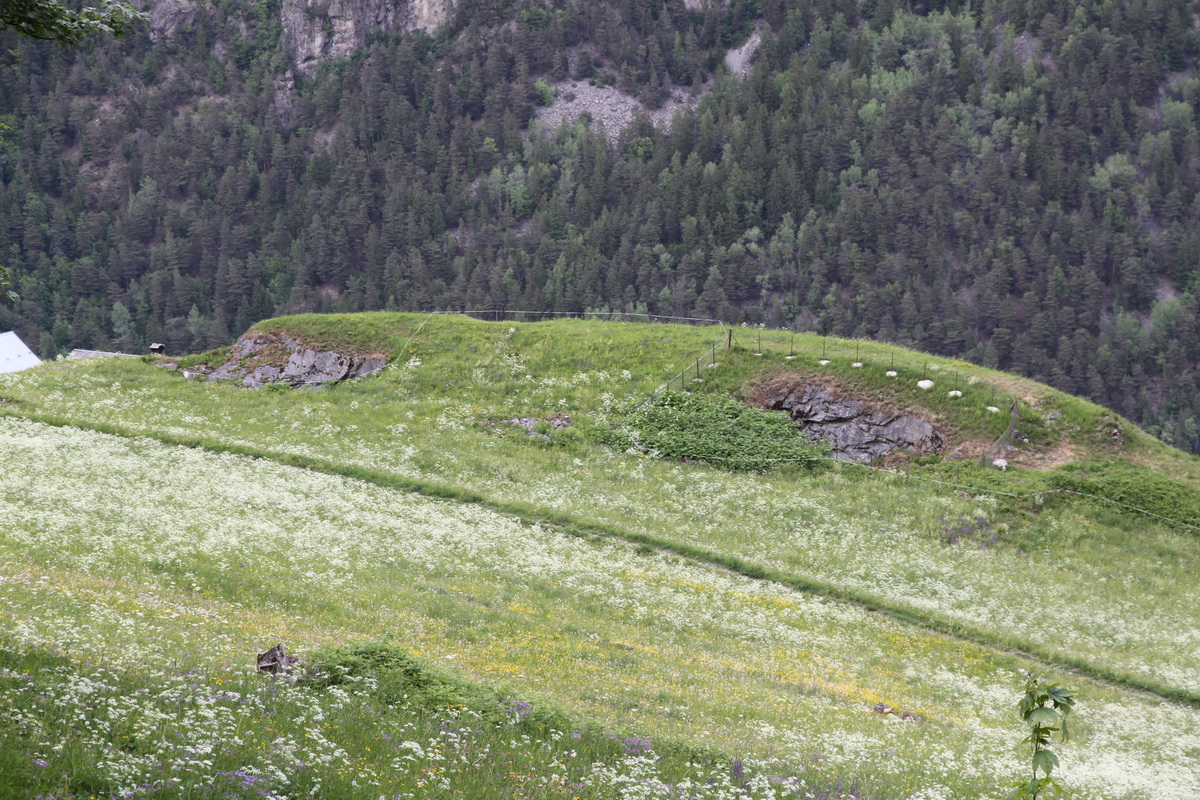 Ligne Maginot - VILLAROGER - HARICOT - Vue générale de l'ouvrage