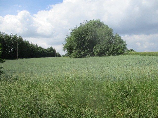 Ligne Maginot - FERME DE LA TOUR - (Blockhaus lourd type STG / STG-FCR - Double) - Photo prise de la rue de Bettrechies