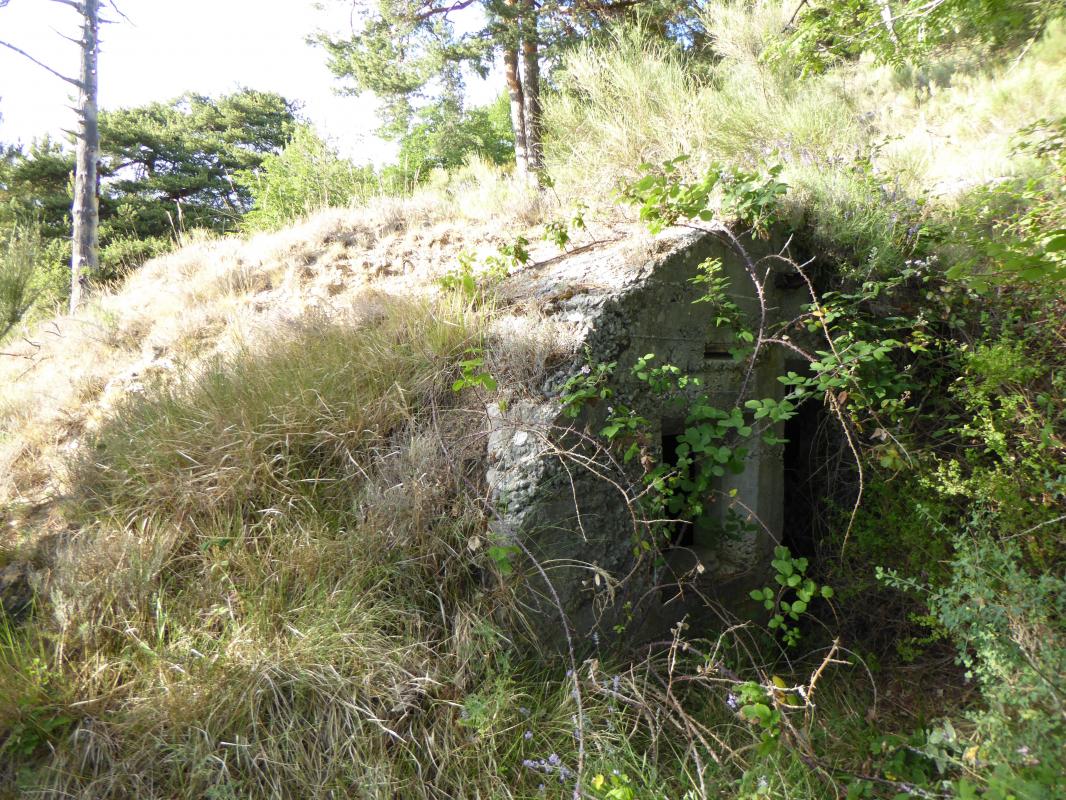 Ligne Maginot - COL DE BRAUS EST 3 - (Abri) - Abri