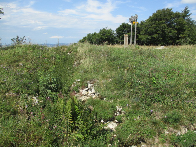 Ligne Maginot - GRAND TAUREAU - (Blockhaus pour arme infanterie) - Tranchée accédant au blockhaus du Grand taureau