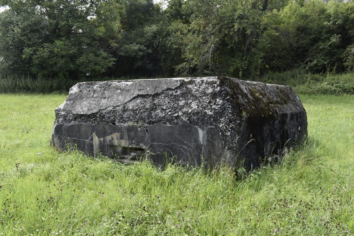 Ligne Maginot - BATTENHAEUSLEIN 1 - (Blockhaus pour arme infanterie) - Vue du coté est