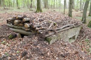 Ligne Maginot - KALMERICH 2 - (Blockhaus pour arme infanterie) - 