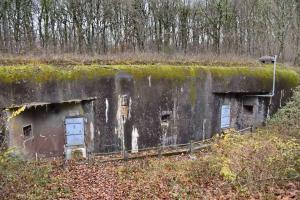 Ligne Maginot - BOIS DE CATTENOM - X14 - (Abri) - Vue générale