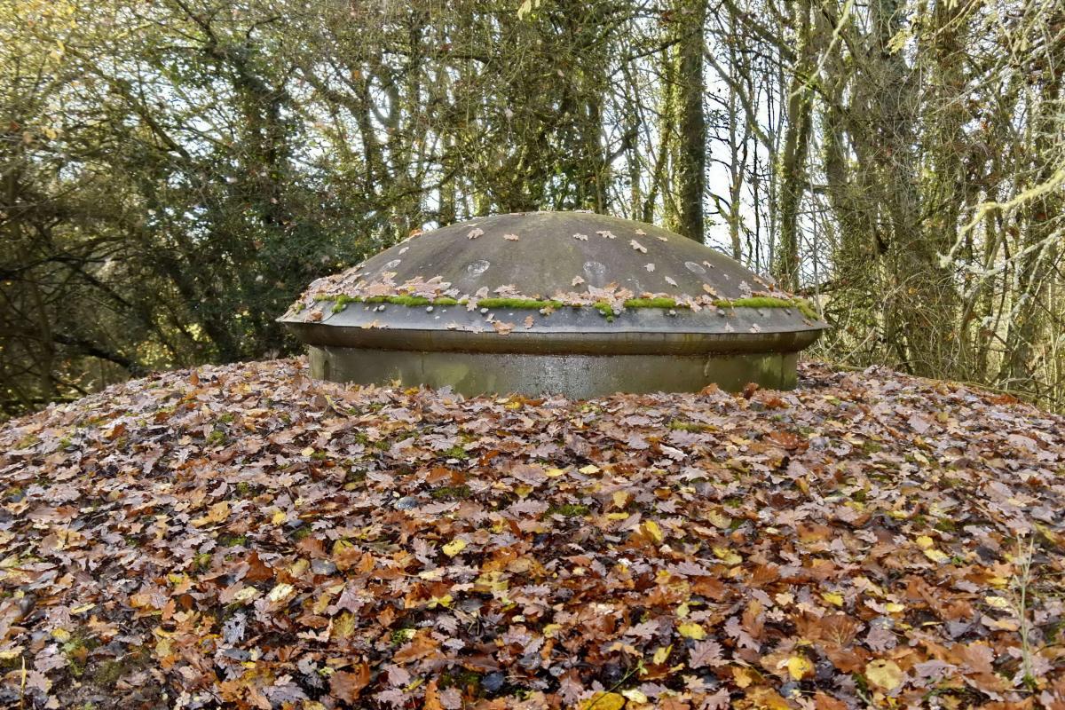 Ligne Maginot - GALGENBERG - A15 - (Ouvrage d'artillerie) - Bloc 3
Tourelle mitrailleuses