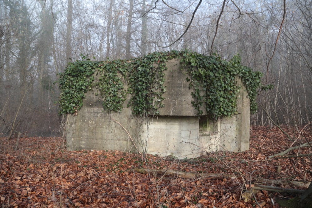 Ligne Maginot - KUEHNENSAND SUD - (Blockhaus pour arme infanterie) - 