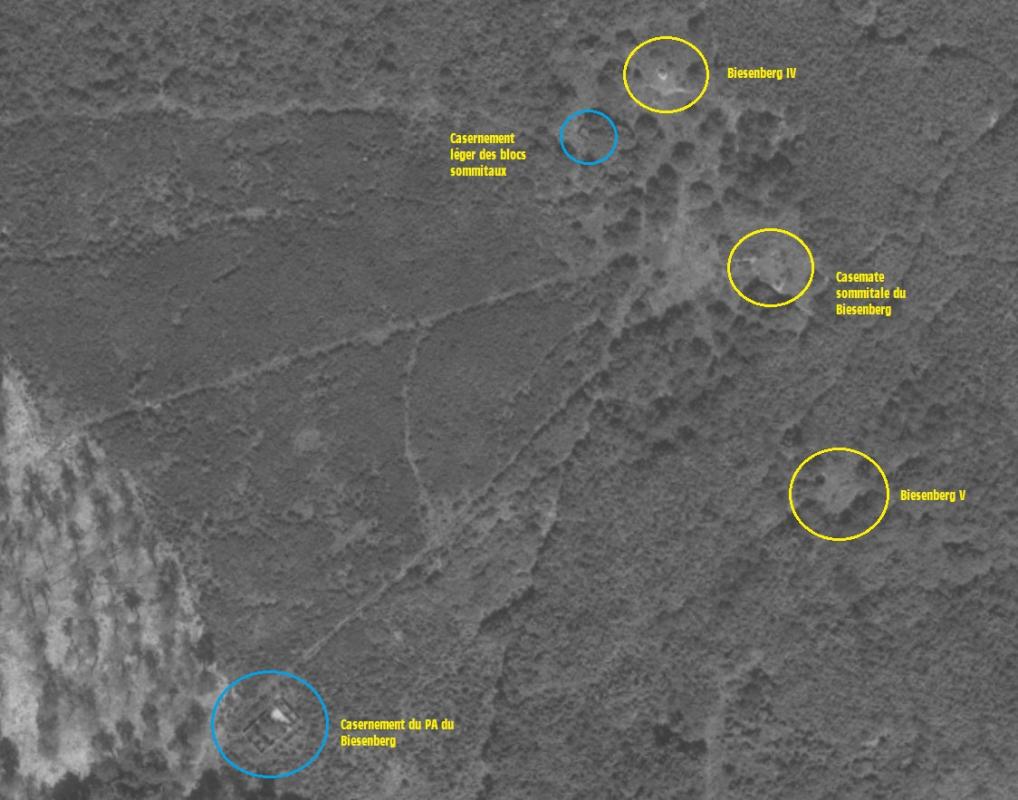 Ligne Maginot - Situation du sommet du BIESENBERG - La casemate, les blockhaus et casernements du sommet sont visible sur cette photo aérienne des années 60