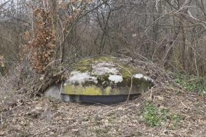 Ligne Maginot - OBERWALD SUD EST 3 - (Blockhaus pour arme infanterie) - La coupole