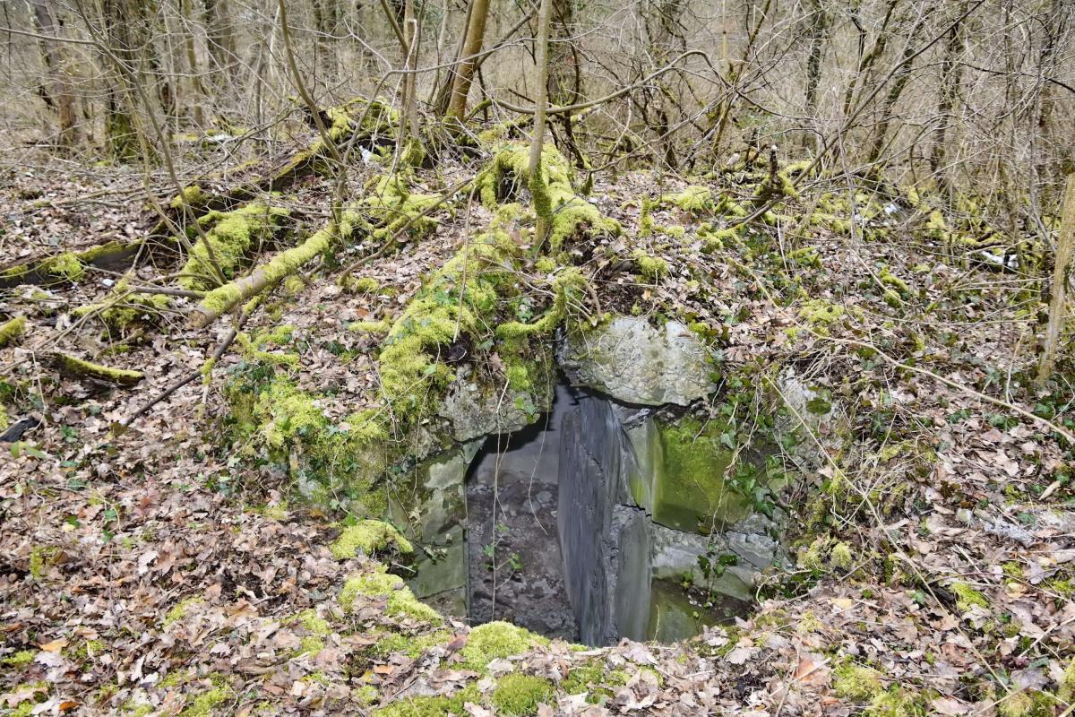 Ligne Maginot - OBERHARDTFELD 1 - (Blockhaus pour arme infanterie) - Coupole 7 RM, dont le toit gît à une dizaine de mètres