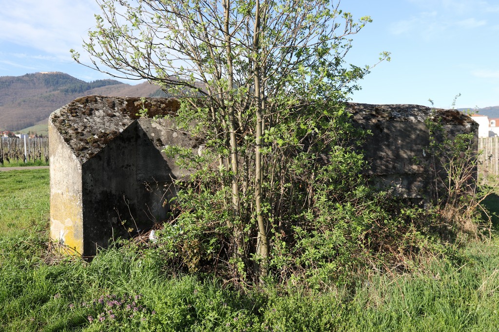 Ligne Maginot - LANGGASS NORD - (Blockhaus pour arme infanterie) - 