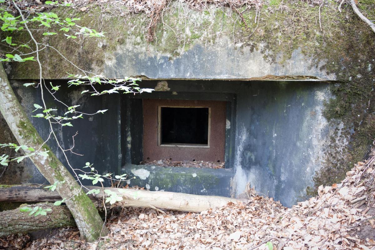 Ligne Maginot - ERLENMOOS Ouest (Avant Poste) (Blockhaus pour canon) - Bloc antichar