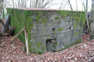 Ligne Maginot - EHEFLOSS NORD - (Blockhaus pour arme infanterie) - 