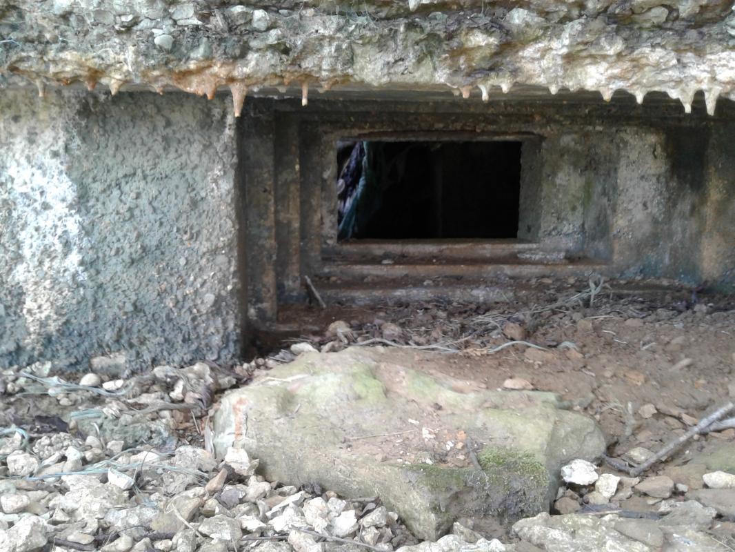 Ligne Maginot - 21TER - LE HA - (Blockhaus pour canon) -  Créneau frontal pour canon AC-25