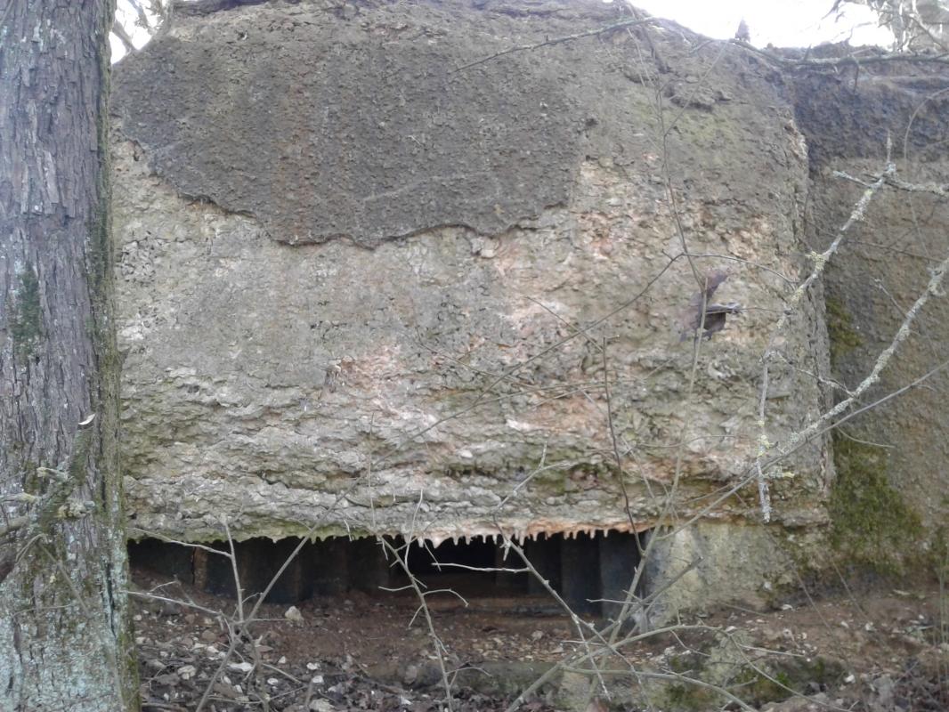 Ligne Maginot - 21TER - LE HA - (Blockhaus pour canon) -     Créneau pour mitrailleuse, flanquant vers l'Est/Nord-Est. Créneau protégé par une visière.