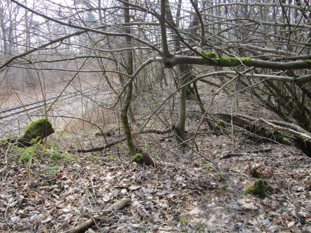 Ligne Maginot - WALBOURG GARE - (Infrastructure ferroviaire) - Vestige d'une rampe