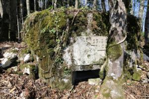 Ligne Maginot - SAEGERKOPF NORD - (Blockhaus pour arme infanterie) -   