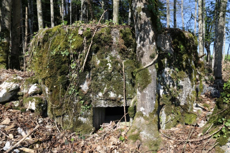 Ligne Maginot - SAEGERKOPF NORD - (Blockhaus pour arme infanterie) -  