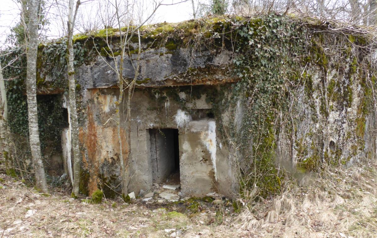 Ligne Maginot - LES CHAZEAUX EST - (Blockhaus de type indeterminé) -    