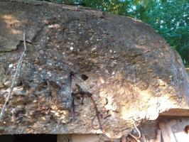 Ligne Maginot - OBERSEEBACH 1 - (Blockhaus pour canon) - impact sur la visière de l'entrée homme (PAK 37)