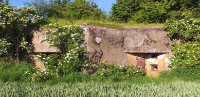 Ligne Maginot - ASCHBACH OUEST - (Casemate d'infanterie - Simple) - Vue générale 