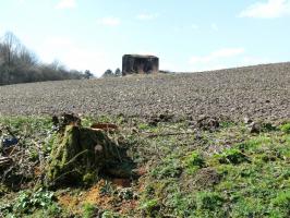 Ligne Maginot - AB350 - ROSSELN - (Blockhaus pour arme infanterie) - Le blockhaus de loin.