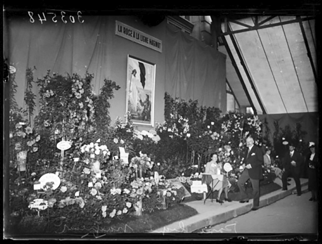 Ligne Maginot - La Rose à la ligne Maginot - Exposition d'Horticulture de mai 1938 à Paris
Stand de la Rose à la Ligne Maginot