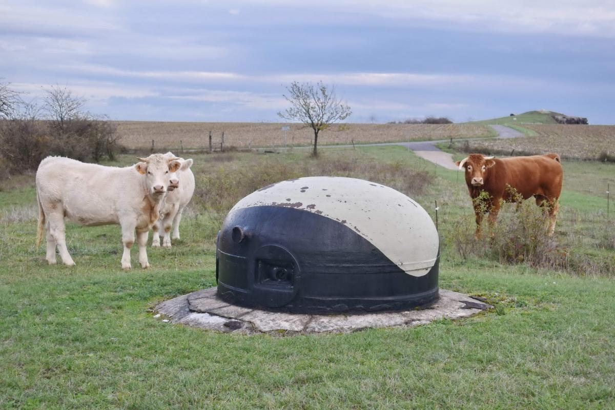 Ligne Maginot - ROHRBACH - FORT CASSO - (Ouvrage d'infanterie) - Bloc 1
Cloche nord, au fond bloc 3