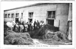 Ligne Maginot - TETING CAMP - (Camp de sureté) - Les écuries du 1° Bataillon 